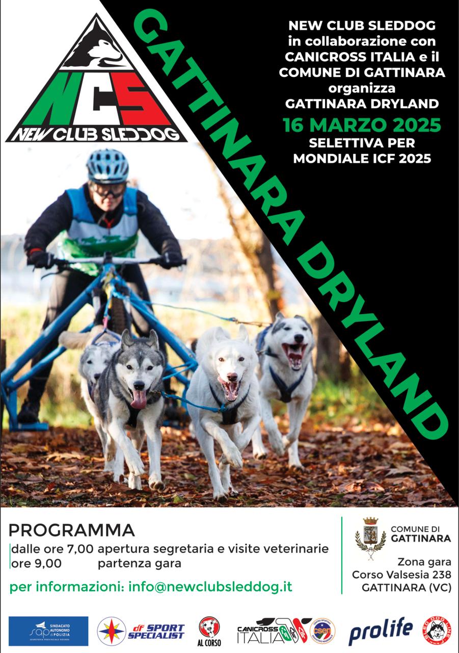 gattinara dryland