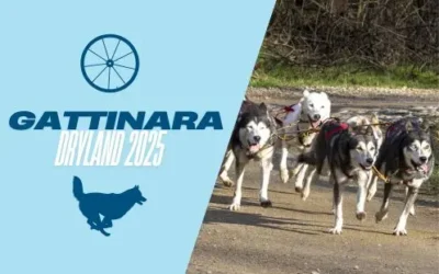 Gattinara Dryland Race 2025