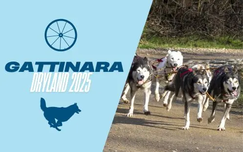 Gattinara Dryland Race 2025