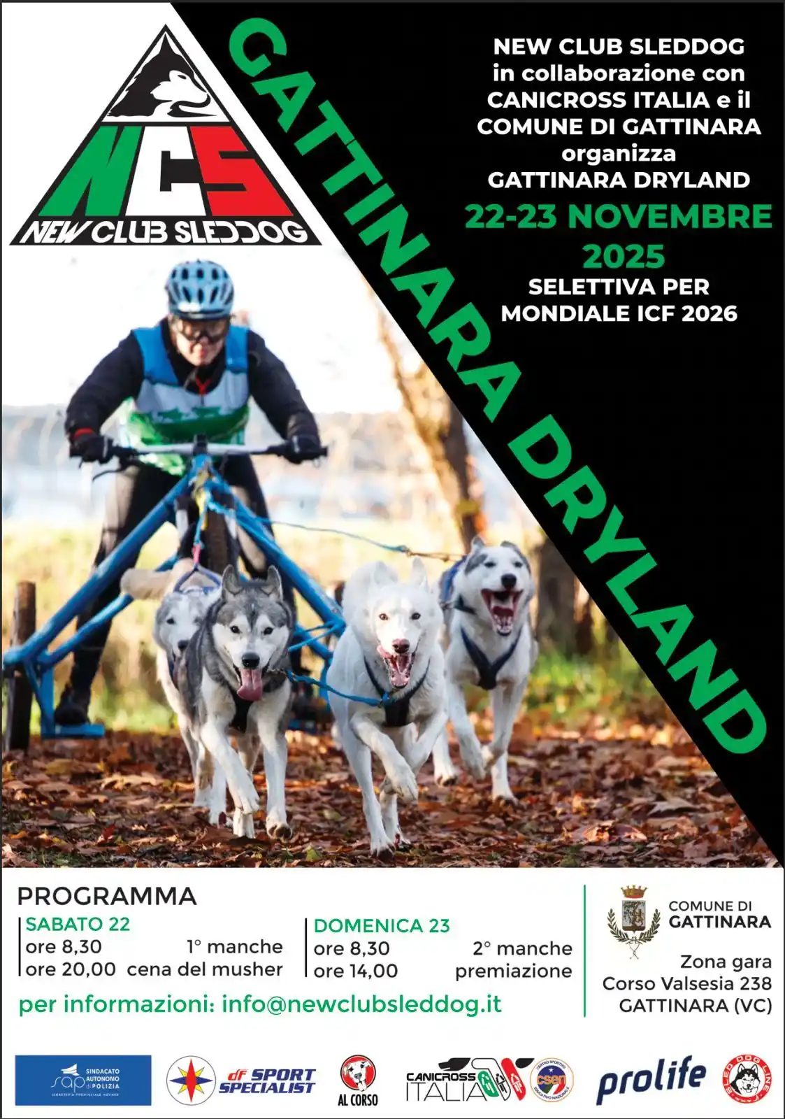 gattinara dryland 2025